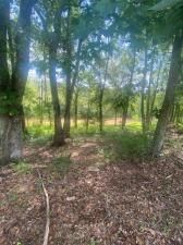 MLS #7634054 image #0