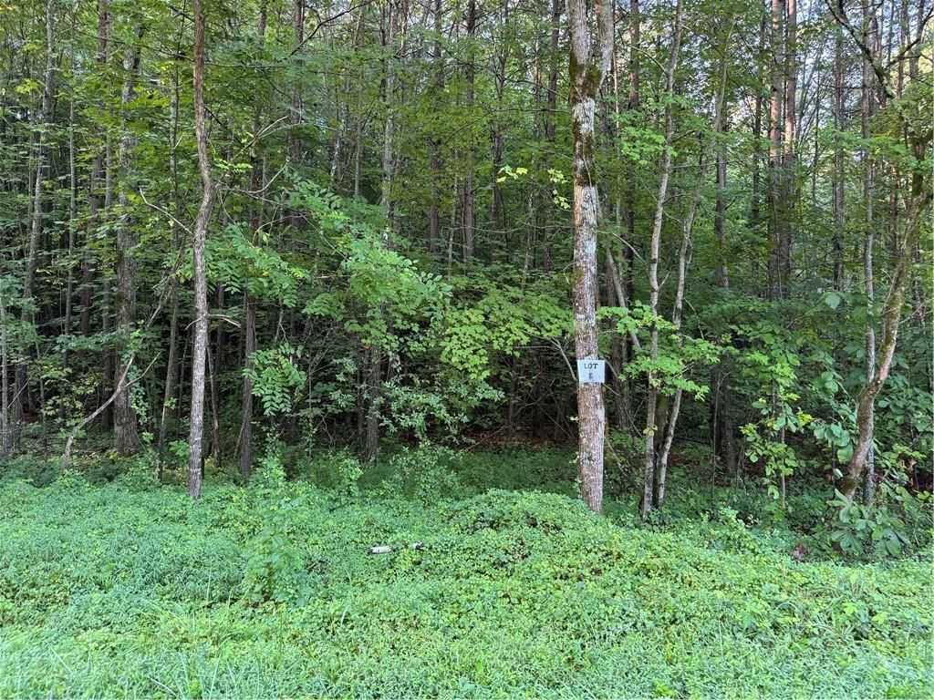 MLS #7634164 image #0