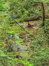 MLS #7634477 image #0