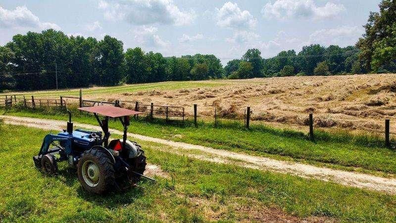 MLS #7634554 image #0