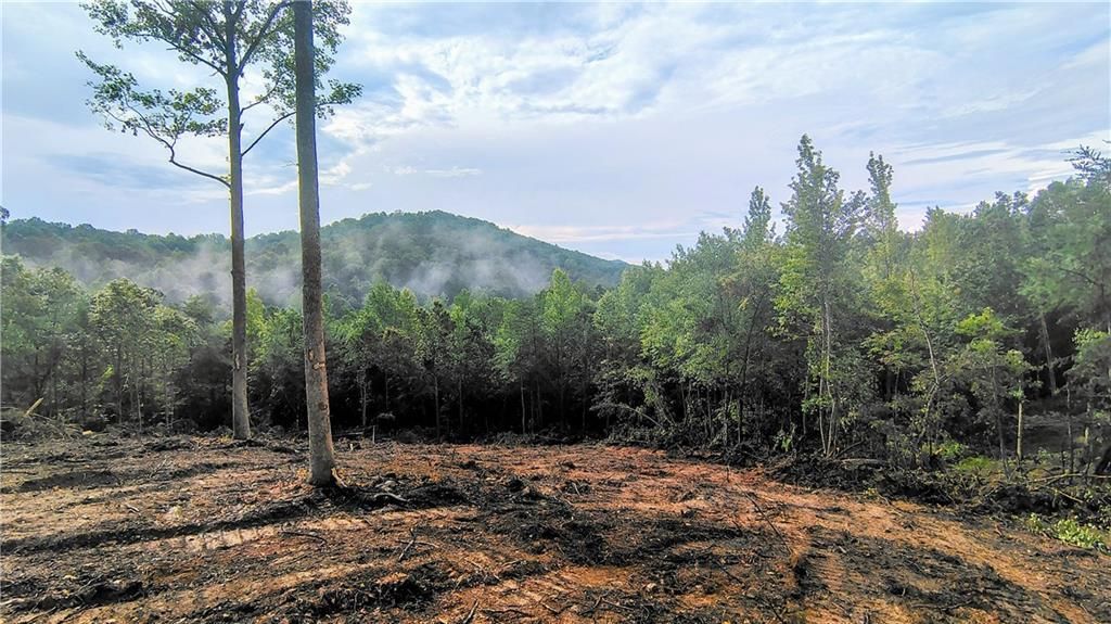 MLS #7637290 image #0