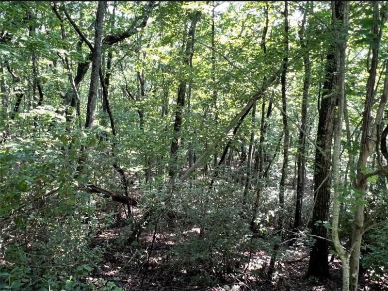 MLS #7637798 image #0