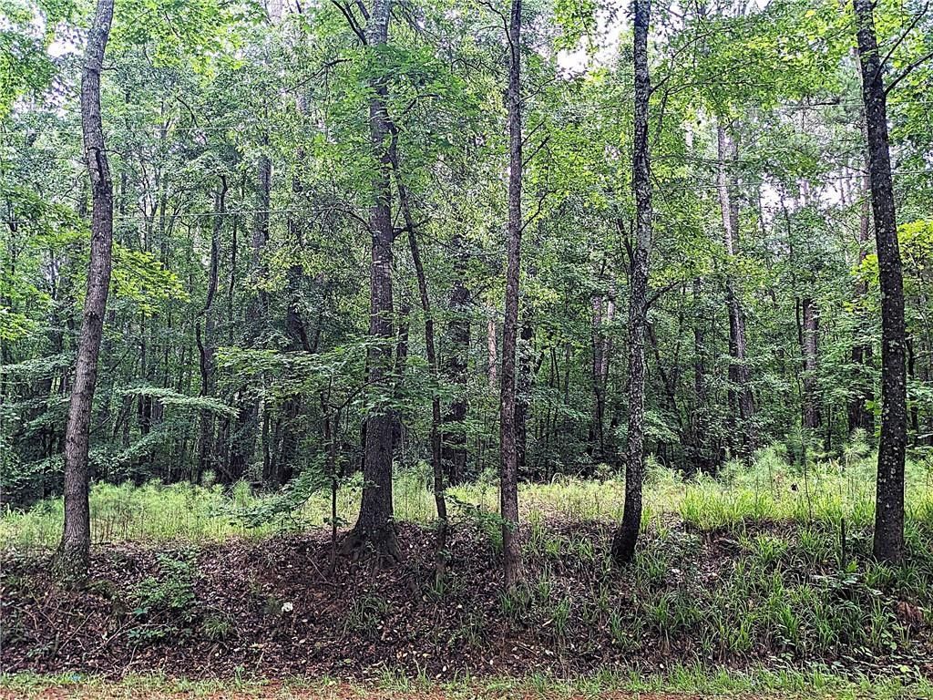 MLS #7637917 image #0