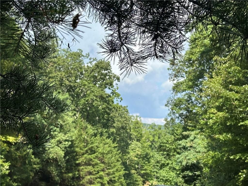 MLS #7637919 image #0