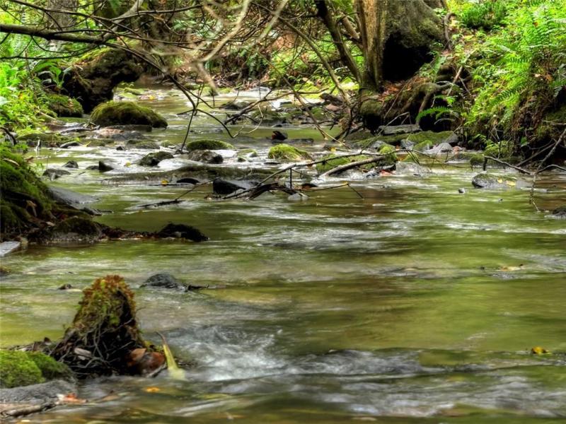 MLS #7637923 image #0