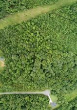 MLS #7639557 image #0