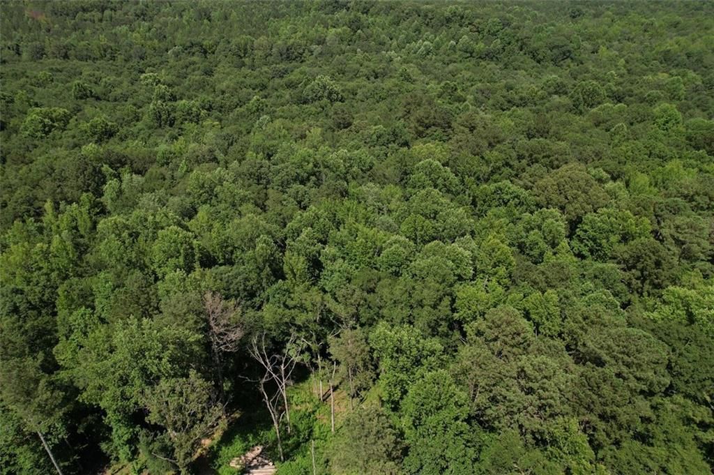 MLS #7640109 image #0