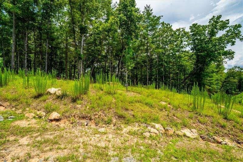 MLS #7640139 image #0