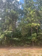 MLS #7642194 image #0