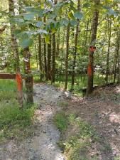 MLS #7643876 image #0