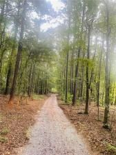 MLS #7644244 image #0