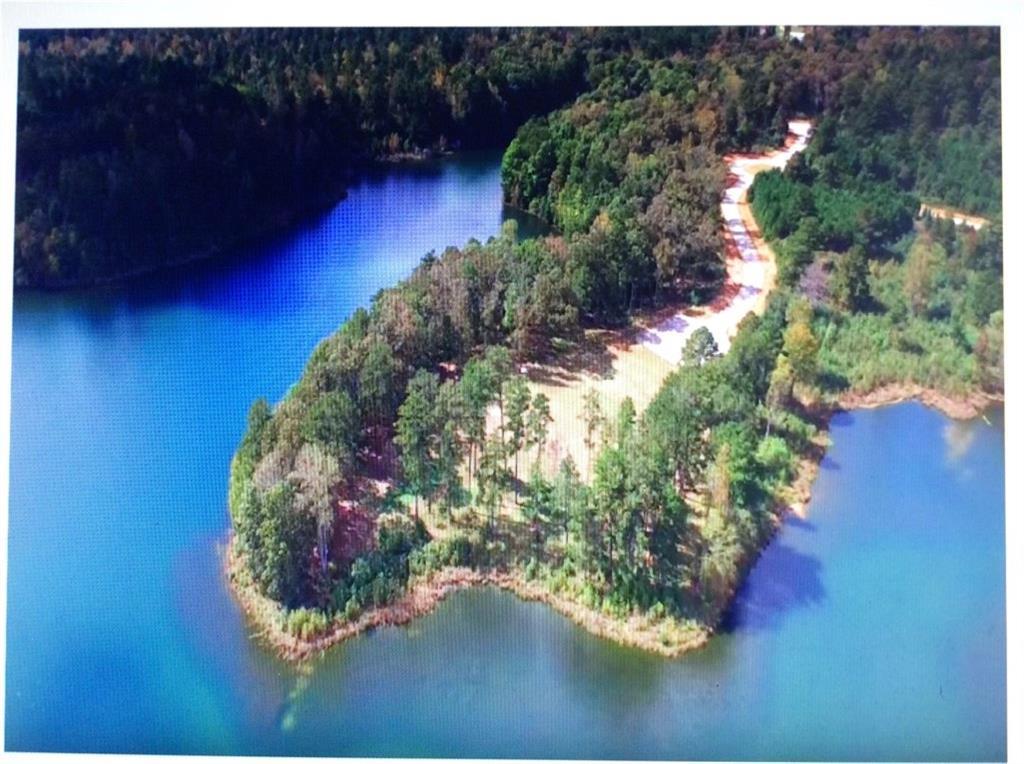 MLS #7644795 image #0