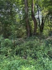 MLS #7645476 image #0