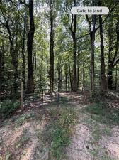 MLS #7645624 image #0