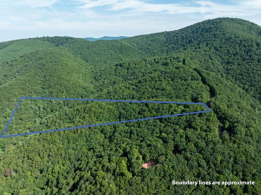 MLS #7645996 image #0