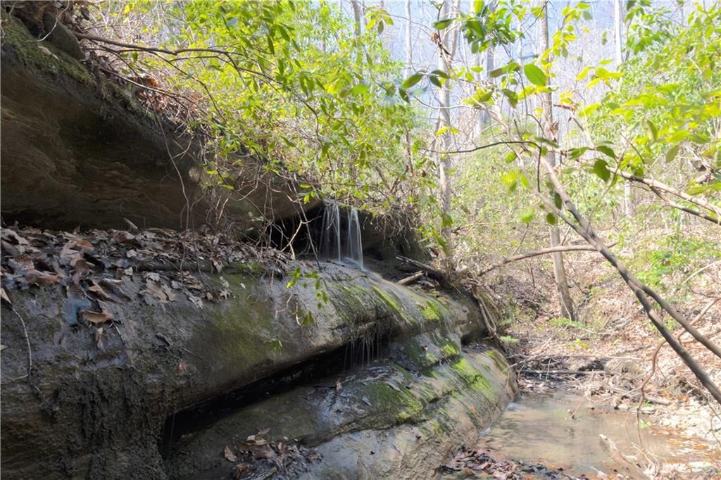 MLS #7646343 image #0