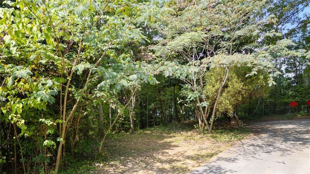 MLS #7646438 image #0