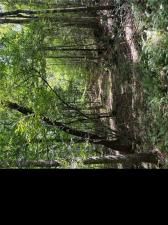 MLS #7646686 image #0