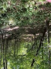 MLS #7646686 image #0