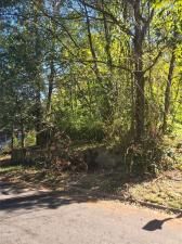 MLS #7646846 image #0