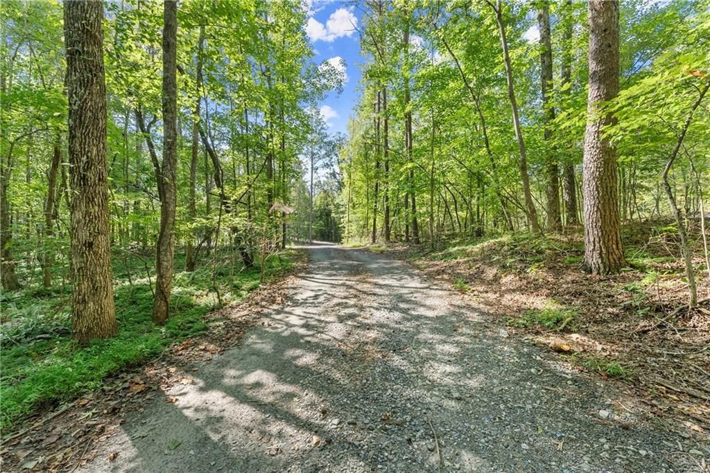 MLS #7647784 image #0