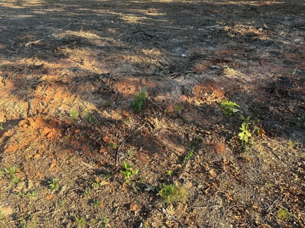 MLS #7647844 image #0