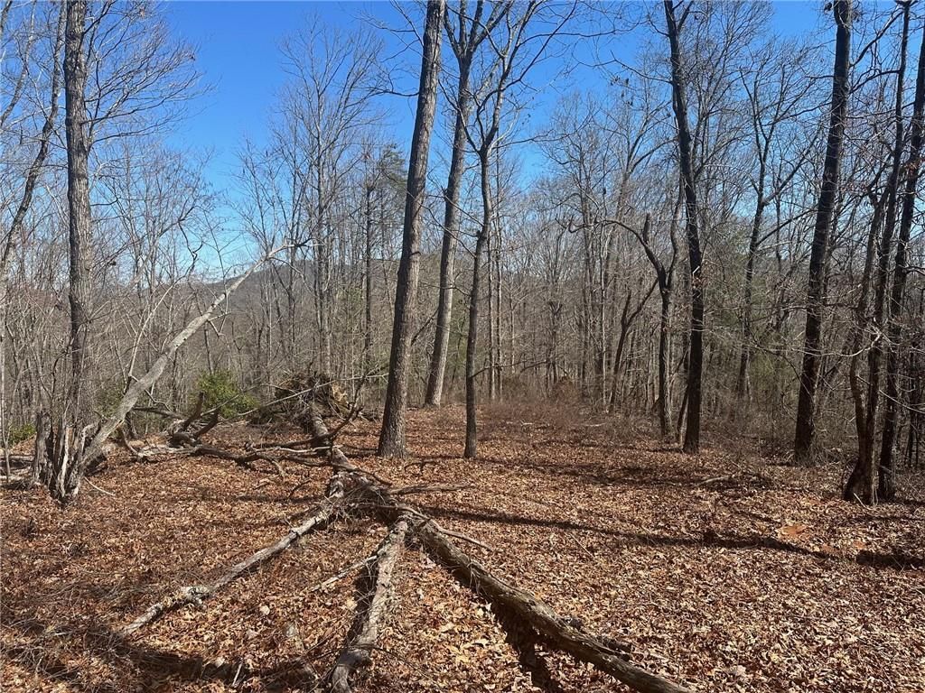 MLS #7648737 image #0