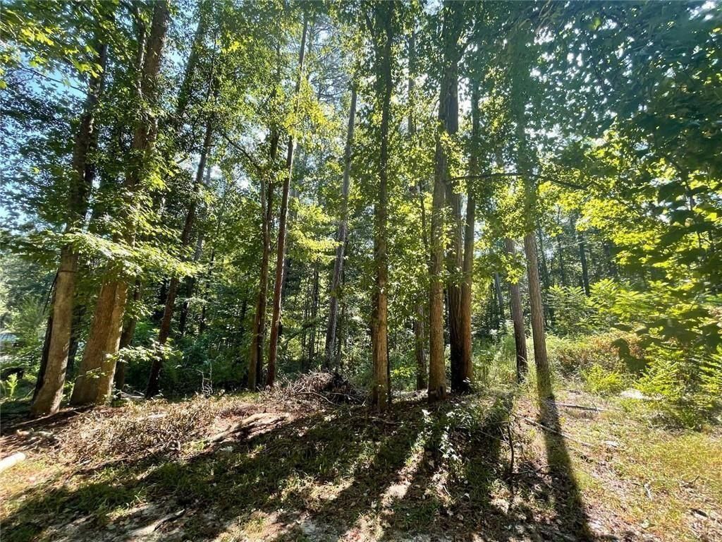 MLS #7648747 image #0