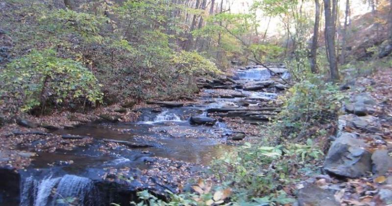 MLS #7651811 image #0