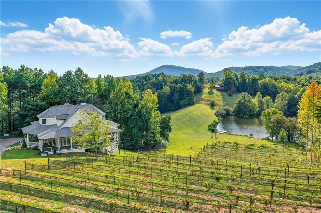 MLS #7651872 image #0