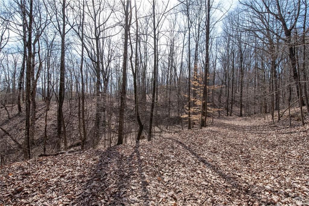 MLS #7652144 image #0