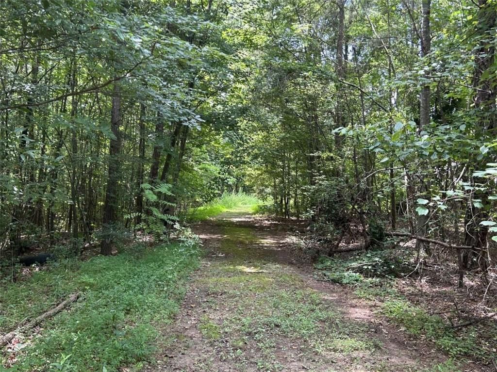 MLS #7652183 image #0