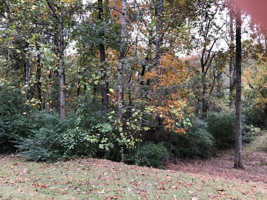 MLS #7652676 image #0