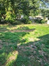 MLS #7653221 image #0