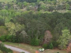 MLS #7655797 image #0