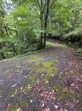 MLS #7656465 image #0