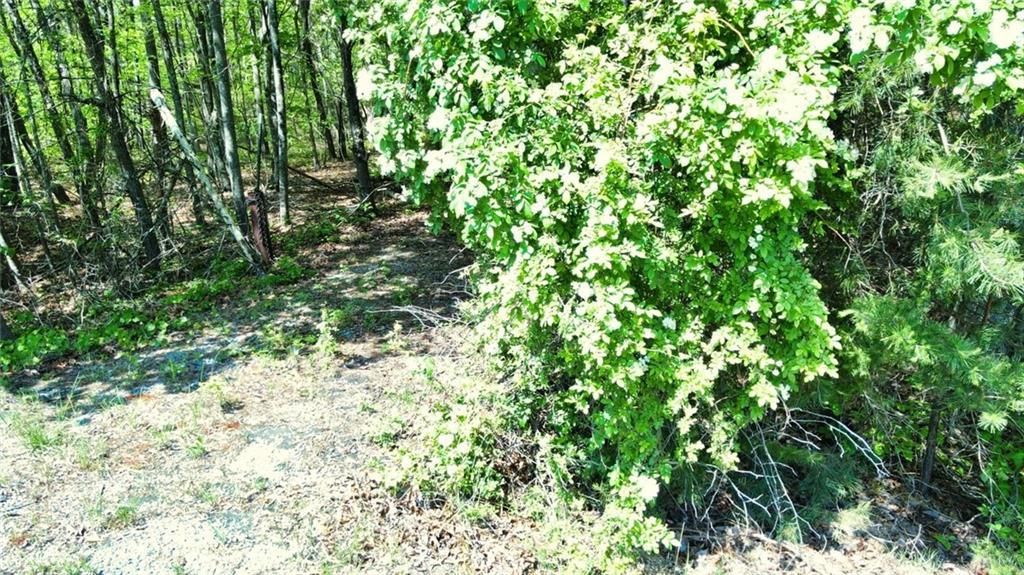 MLS #7656573 image #0