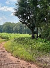 MLS #7656962 image #0