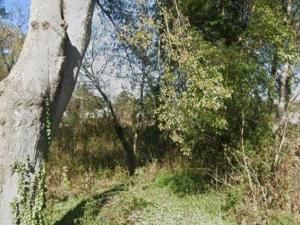 MLS #7657834 image #0