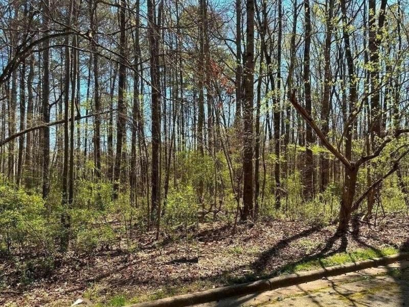 MLS #7658161 image #0