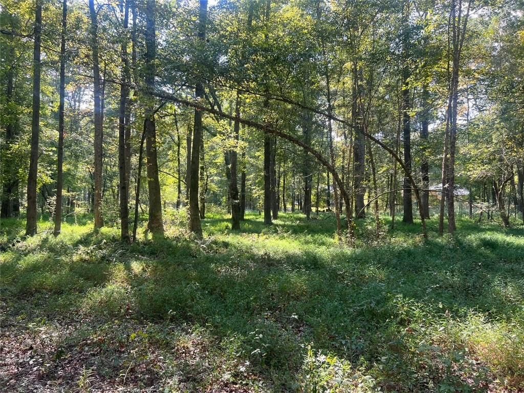 MLS #7658493 image #0