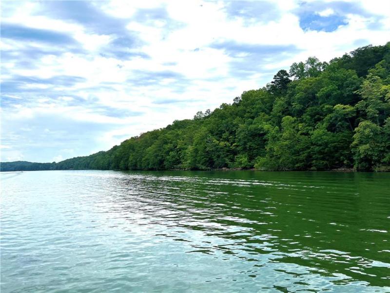 MLS #7662691 image #0