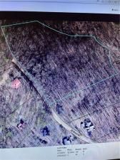 MLS #7663060 image #0