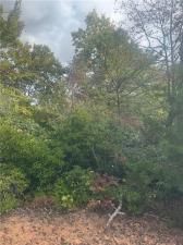 MLS #7663399 image #0