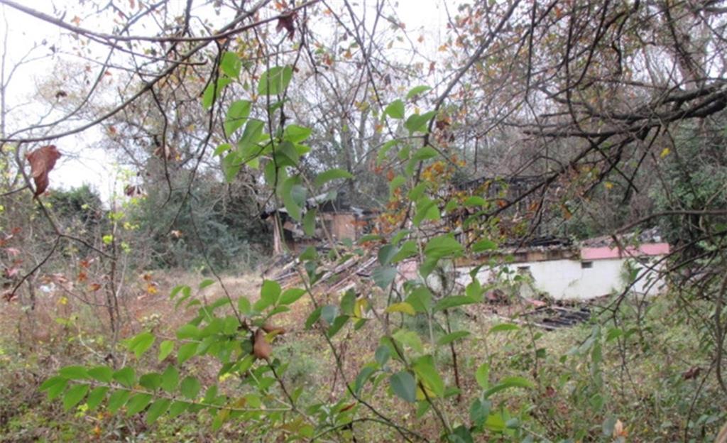 MLS #7663467 image #0