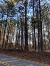 MLS #7663475 image #0