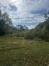 MLS #7663657 image #0