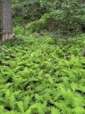 MLS #7663758 image #0