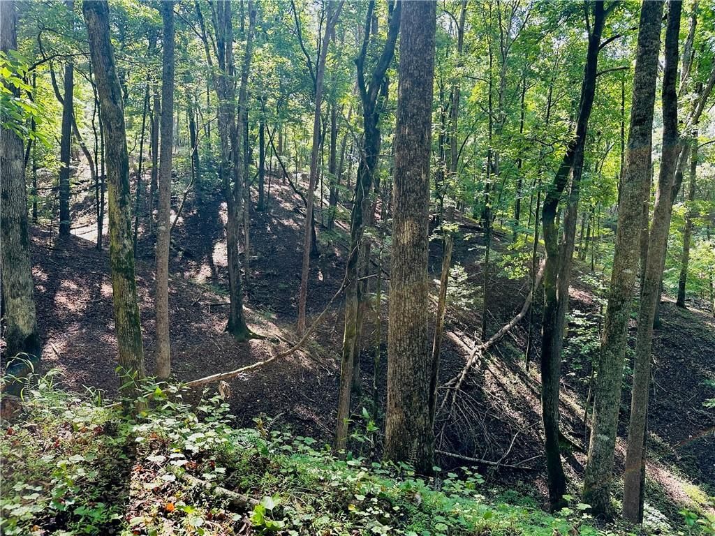 MLS #7665929 image #0