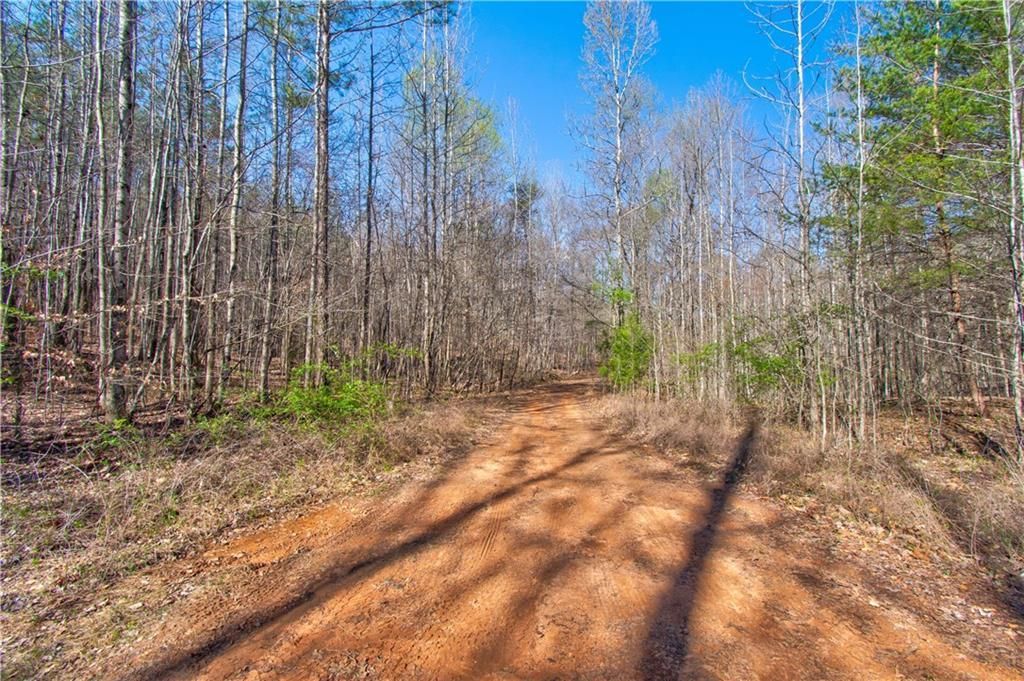 MLS #7666654 image #0